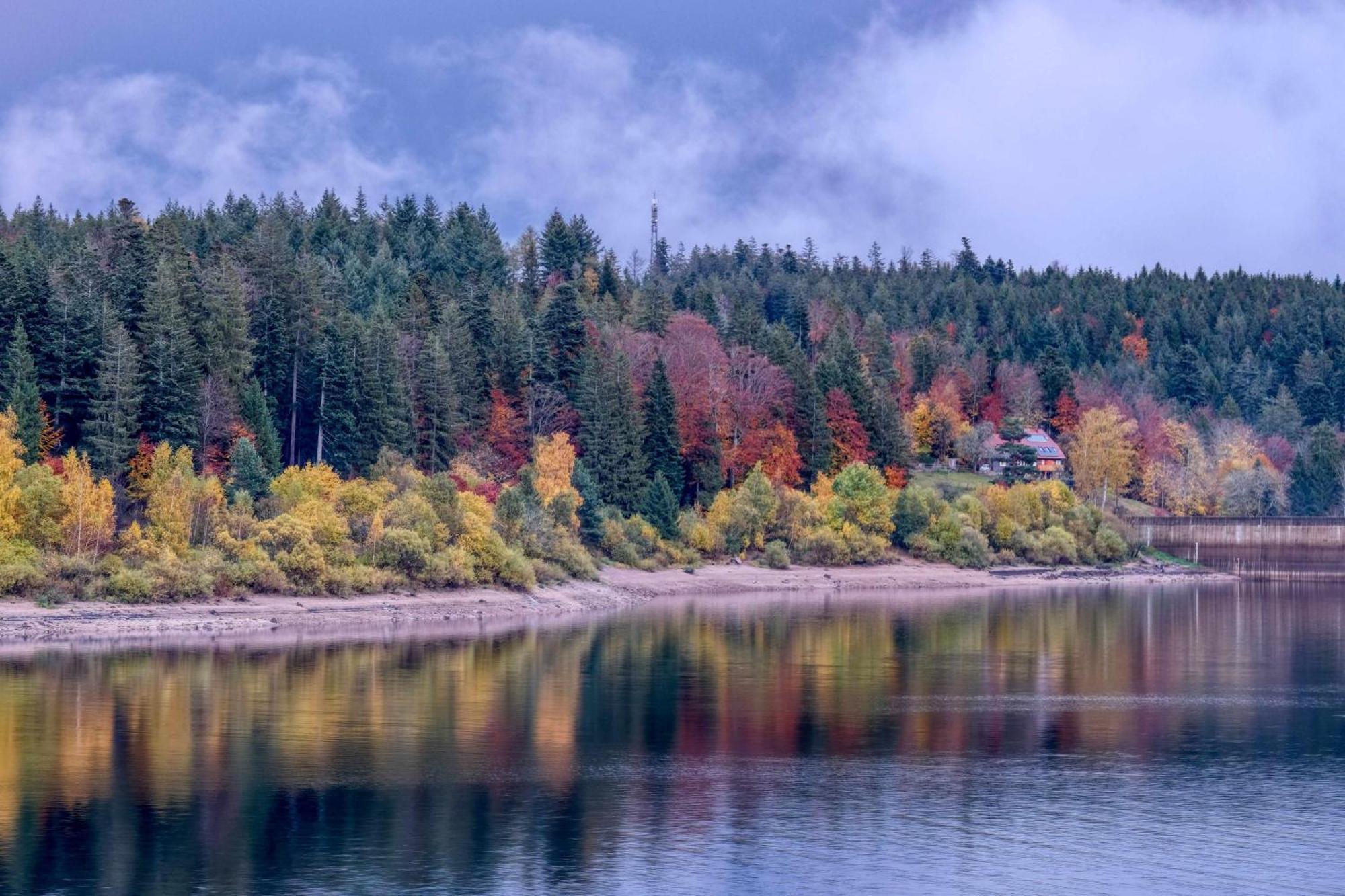 Zum Alten Waerterhaus Forbach Dış mekan fotoğraf